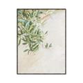 Picture of Few Olive Tree Leaves _GroupedProduct_Rectangle_Portrait_Photography _GroupedProduct_Rectangle_Portrait_Canvas_Framed_