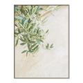 Picture of Few Olive Tree Leaves _GroupedProduct_Rectangle_Portrait_Photography _GroupedProduct_Rectangle_Portrait_Canvas_Framed_