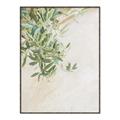 Picture of Few Olive Tree Leaves _GroupedProduct_Rectangle_Portrait_Photography _GroupedProduct_Rectangle_Portrait_Canvas_Framed_