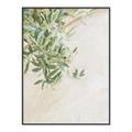 Picture of Few Olive Tree Leaves _GroupedProduct_Rectangle_Portrait_Photography _GroupedProduct_Rectangle_Portrait_Canvas_Framed_