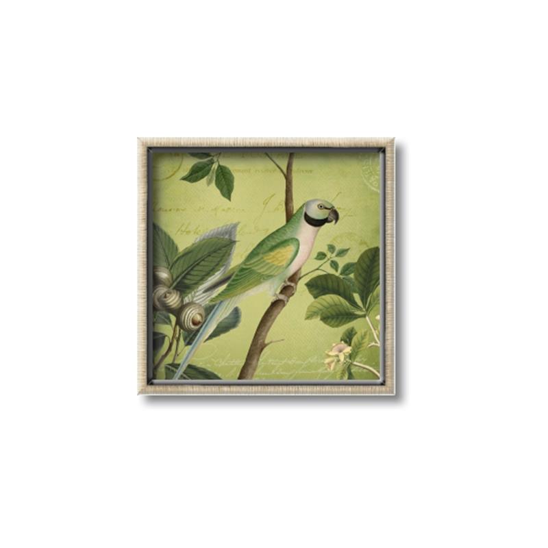 Picture of Vintage Tropical Birds I _GroupedProduct_Square_Canvas_Framed_