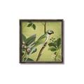 Picture of Vintage Tropical Birds I _GroupedProduct_Square_Canvas_Framed_