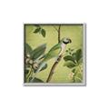 Picture of Vintage Tropical Birds I _GroupedProduct_Square_Canvas_Framed_