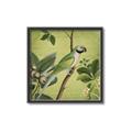 Picture of Vintage Tropical Birds I _GroupedProduct_Square_Canvas_Framed_