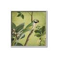 Picture of Vintage Tropical Birds I _GroupedProduct_Square_Canvas_Framed_