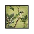 Picture of Vintage Tropical Birds I _GroupedProduct_Square_Canvas_Framed_