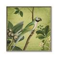 Picture of Vintage Tropical Birds I _GroupedProduct_Square_Canvas_Framed_