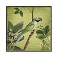 Picture of Vintage Tropical Birds I _GroupedProduct_Square_Canvas_Framed_