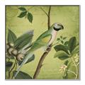 Picture of Vintage Tropical Birds I _GroupedProduct_Square_Canvas_Framed_