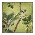 Picture of Vintage Tropical Birds I _GroupedProduct_Square_Canvas_Framed_