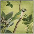 Picture of Vintage Tropical Birds I _GroupedProduct_Square_Canvas_Framed_