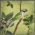 Picture of Vintage Tropical Birds I _GroupedProduct_Square_Canvas_Framed_