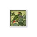 Picture of Vintage Tropical Birds II _GroupedProduct_Square_Canvas_Framed_