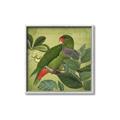 Picture of Vintage Tropical Birds II _GroupedProduct_Square_Canvas_Framed_