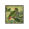Picture of Vintage Tropical Birds II _GroupedProduct_Square_Canvas_Framed_