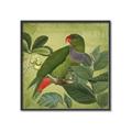 Picture of Vintage Tropical Birds II _GroupedProduct_Square_Canvas_Framed_