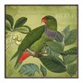 Picture of Vintage Tropical Birds II _GroupedProduct_Square_Canvas_Framed_