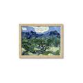 Picture of Vincent Van Gogh's Olive Trees With the Alpilles (1889) _GroupedProduct_Rectangle_Landscape_Framed_Matted_