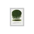 Picture of Kilmarnock Weeping Willow Tree Lithograph _GroupedProduct_Rectangle_Portrait_Framed_Matted_