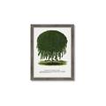 Picture of Kilmarnock Weeping Willow Tree Lithograph _GroupedProduct_Rectangle_Portrait_Framed_Matted_