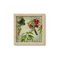 Picture of Tangerine Vintage Bird _GroupedProduct_Square_Framed_Matted_
