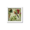 Picture of Tangerine Vintage Bird _GroupedProduct_Square_Framed_Matted_