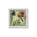 Picture of Tangerine Vintage Bird _GroupedProduct_Square_Framed_Matted_