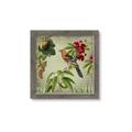 Picture of Tangerine Vintage Bird _GroupedProduct_Square_Framed_Matted_