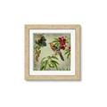 Picture of Tangerine Vintage Bird _GroupedProduct_Square_Framed_Matted_