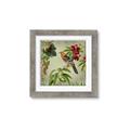 Picture of Tangerine Vintage Bird _GroupedProduct_Square_Framed_Matted_