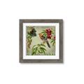 Picture of Tangerine Vintage Bird _GroupedProduct_Square_Framed_Matted_