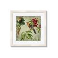 Picture of Tangerine Vintage Bird _GroupedProduct_Square_Framed_Matted_