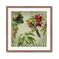 Picture of Tangerine Vintage Bird _GroupedProduct_Square_Framed_Matted_