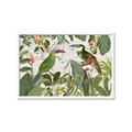 Picture of Green Nostalgic Tropical Birds _GroupedProduct_Rectangle_Landscape_Framed_Matted_