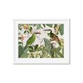 Picture of Green Nostalgic Tropical Birds _GroupedProduct_Rectangle_Landscape_Framed_Matted_