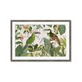 Picture of Green Nostalgic Tropical Birds _GroupedProduct_Rectangle_Landscape_Framed_Matted_