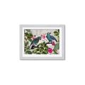 Picture of Blue Nostalgic Tropical Parrot Birds _GroupedProduct_Rectangle_Landscape_Framed_Matted_