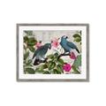 Picture of Blue Nostalgic Tropical Parrot Birds _GroupedProduct_Rectangle_Landscape_Framed_Matted_