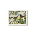 Picture of Parrots Nostalgic Journey 2 _GroupedProduct_Rectangle_Landscape_Framed_Matted_