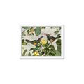 Picture of Parrots Nostalgic Journey 2 _GroupedProduct_Rectangle_Landscape_Framed_Matted_