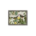 Picture of Parrots Nostalgic Journey 2 _GroupedProduct_Rectangle_Landscape_Framed_Matted_