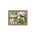 Picture of Parrots Nostalgic Journey 2 _GroupedProduct_Rectangle_Landscape_Framed_Matted_