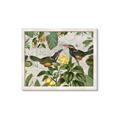 Picture of Parrots Nostalgic Journey 2 _GroupedProduct_Rectangle_Landscape_Framed_Matted_