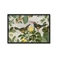 Picture of Parrots Nostalgic Journey 2 _GroupedProduct_Rectangle_Landscape_Framed_Matted_