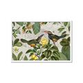 Picture of Parrots Nostalgic Journey 2 _GroupedProduct_Rectangle_Landscape_Framed_Matted_