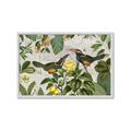 Picture of Parrots Nostalgic Journey 2 _GroupedProduct_Rectangle_Landscape_Framed_Matted_