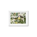 Picture of Parrots Nostalgic Journey 2 _GroupedProduct_Rectangle_Landscape_Framed_Matted_
