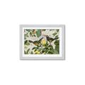 Picture of Parrots Nostalgic Journey 2 _GroupedProduct_Rectangle_Landscape_Framed_Matted_