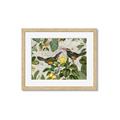 Picture of Parrots Nostalgic Journey 2 _GroupedProduct_Rectangle_Landscape_Framed_Matted_