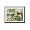 Picture of Parrots Nostalgic Journey 2 _GroupedProduct_Rectangle_Landscape_Framed_Matted_